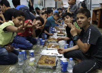 Warm Meals Distribution