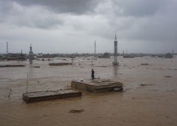 Pakistan Emergency Appeal